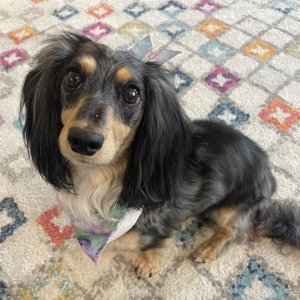 Staff member headshot